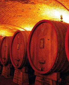 Itinerari DI...VINI Terra di vini e di eccellenze culinarie, l Albese offre un patrimonio enogastronomico che, una volta gustato, è difficile da dimenticare.