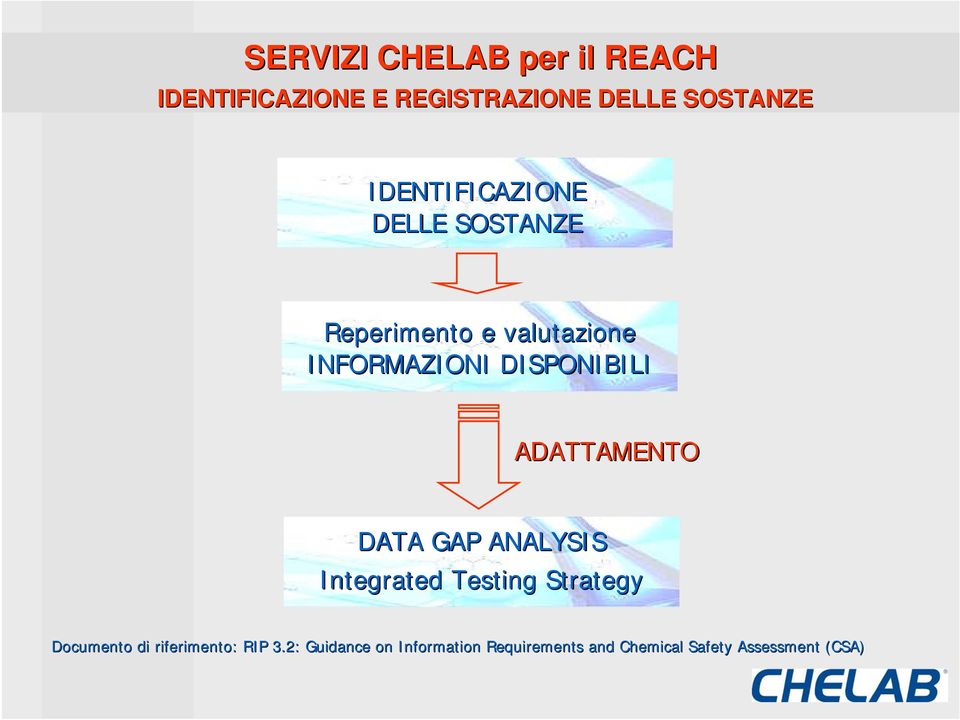 DISPONIBILI ADATTAMENTO DATA GAP ANALYSIS Integrated Testing Strategy Documento