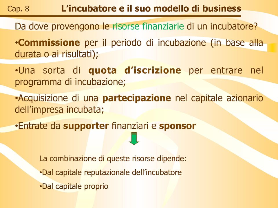 entrare nel programma di incubazione; Acquisizione di una partecipazione nel capitale azionario dell impresa incubata;