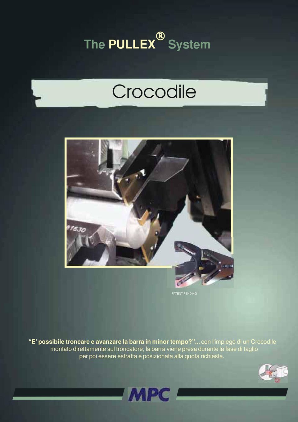 ... con l'impiego di un Crocodile montato direttamente sul