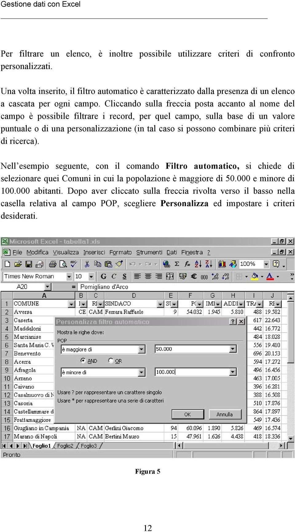 Cliccando sulla freccia posta accanto al nome del campo è possibile filtrare i record, per quel campo, sulla base di un valore puntuale o di una personalizzazione (in tal caso si possono