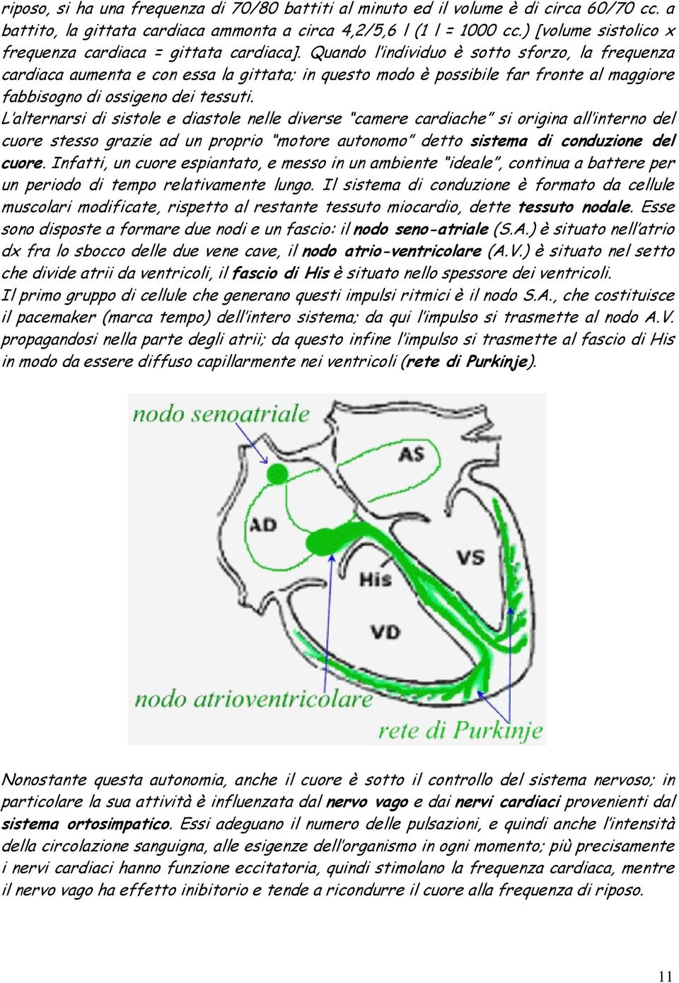 Quando l individuo è sotto sforzo, la frequenza cardiaca aumenta e con essa la gittata; in questo modo è possibile far fronte al maggiore fabbisogno di ossigeno dei tessuti.