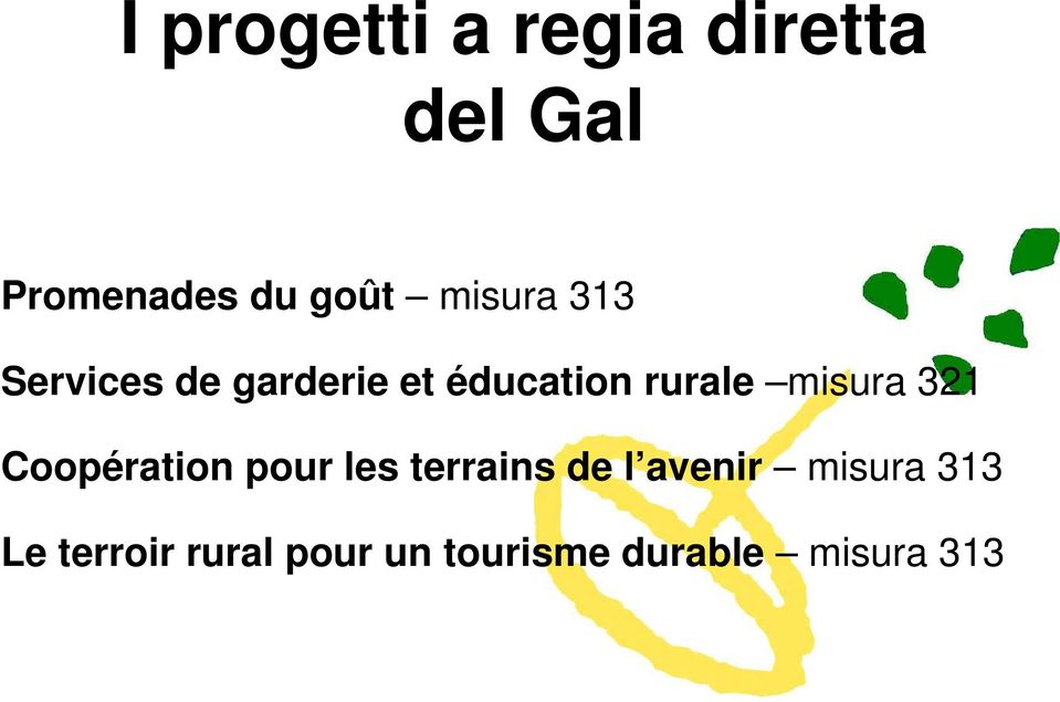 misura 321 Coopération pour les terrains de l avenir