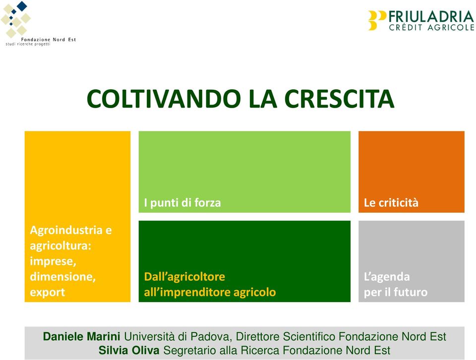 criticità L agenda per il futuro Daniele Marini Università di Padova,