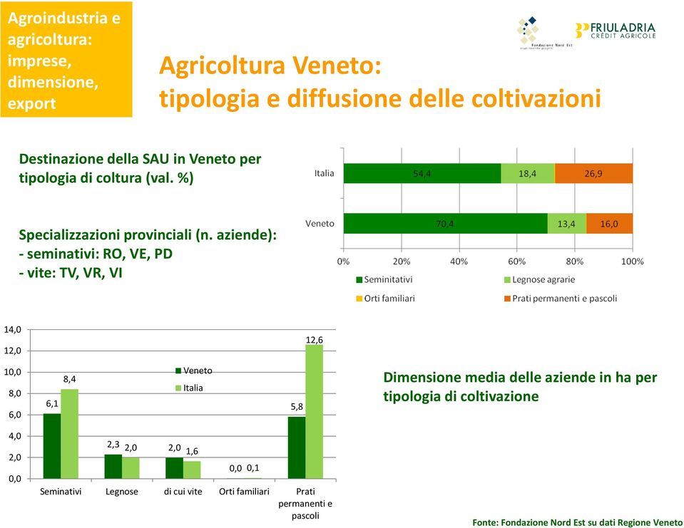 aziende): -seminativi: RO, VE, PD -vite: TV, VR, VI 14,0 12,0 12,6 10,0 8,0 6,0 6,1 8,4 Veneto Italia 5,8 Dimensione media delle aziende