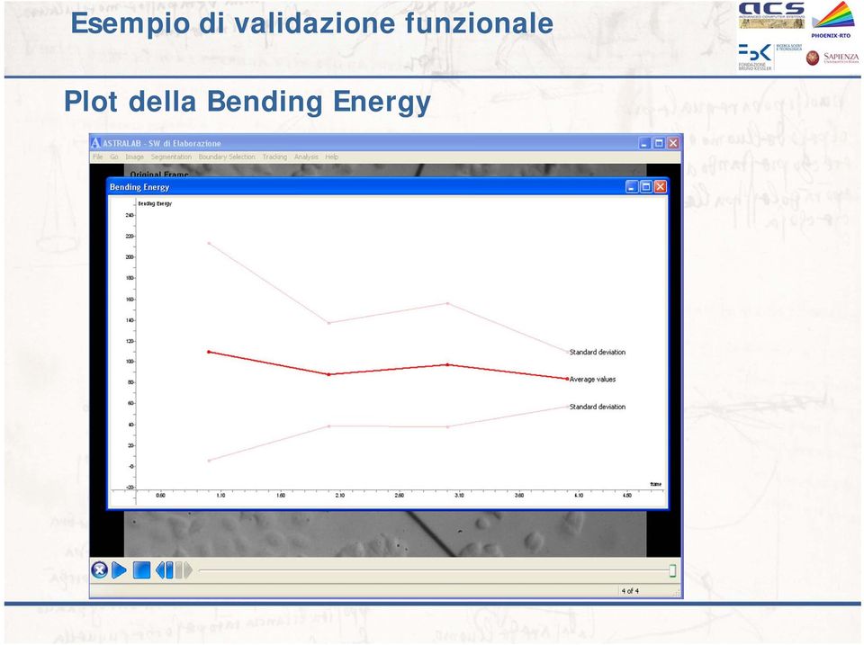 funzionale