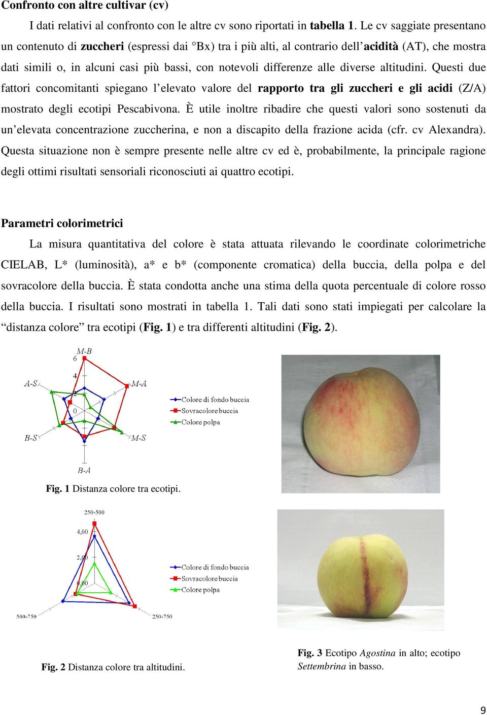 diverse altitudini. Questi due fattori concomitanti spiegano l elevato valore del rapporto tra gli zuccheri e gli acidi (Z/A) mostrato degli ecotipi Pescabivona.