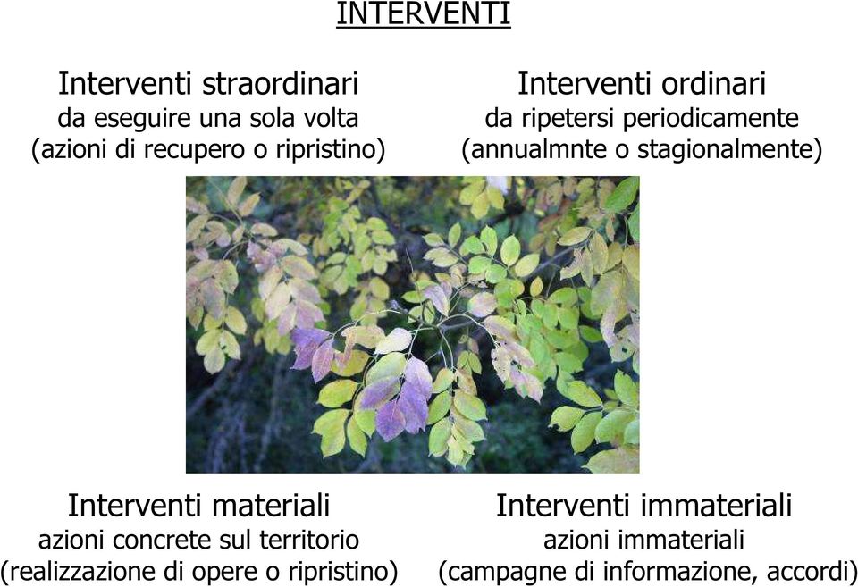 stagionalmente) Interventi materiali azioni concrete sul territorio (realizzazione di