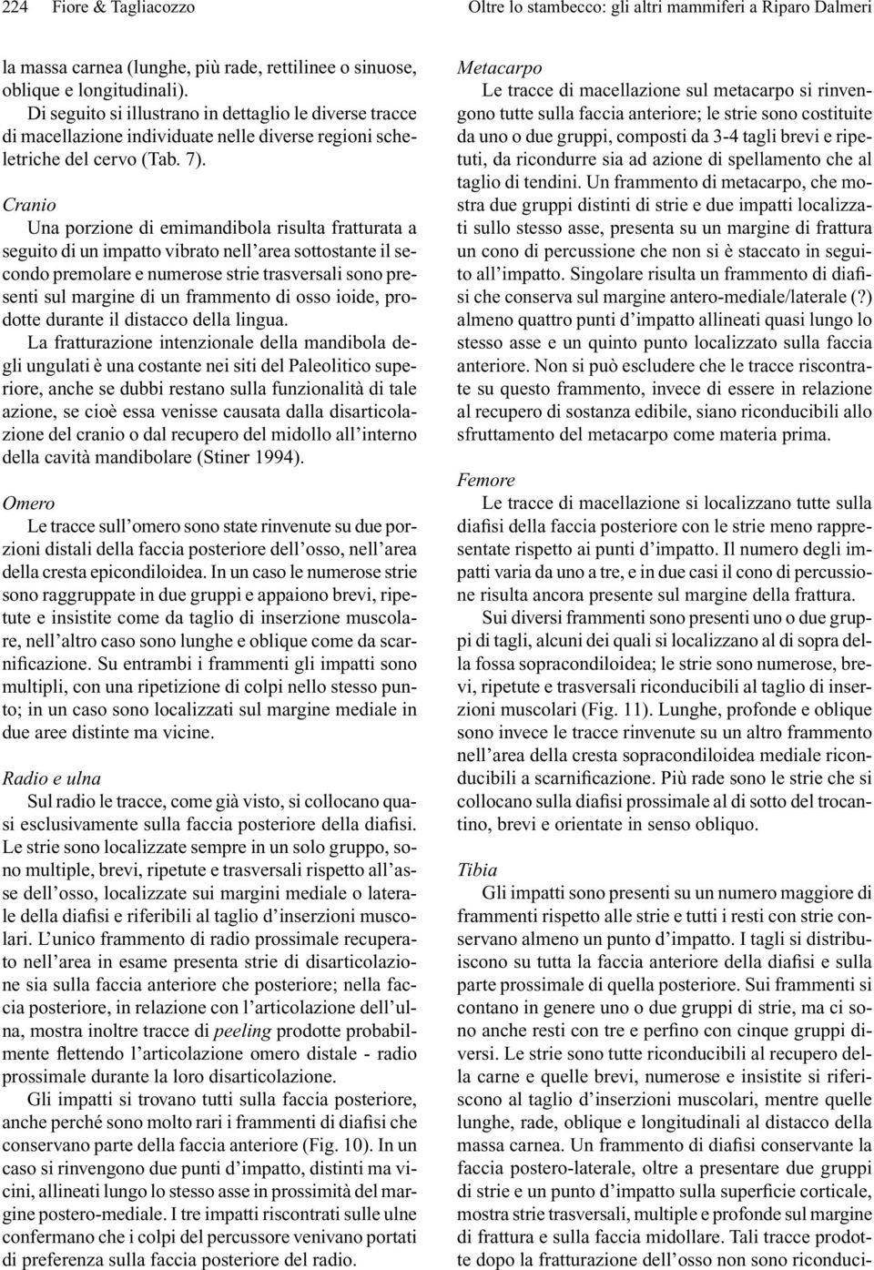 Cranio Una porzione di emimandibola risulta fratturata a seguito di un impatto vibrato nell area sottostante il secondo premolare e numerose strie trasversali sono presenti sul margine di un