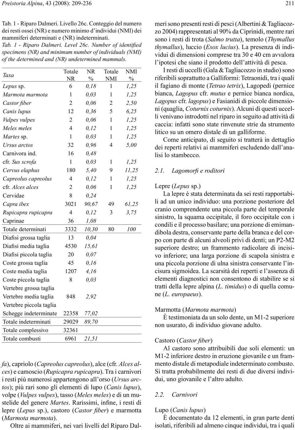 Number of identified specimens (NR) and minimum number of individuals (NMI) of the determined and (NR) undetermined mammals. Taxa Totale NR Totale NMI NR % NMI % Lepus sp.