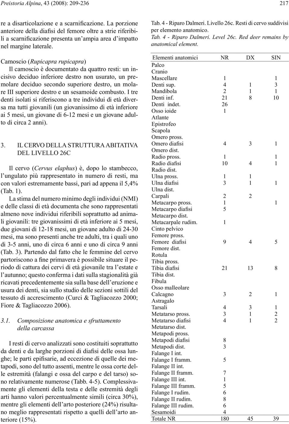 Camoscio (Rupicapra rupicapra) Il camoscio è documentato da quattro resti: un incisivo deciduo inferiore destro non usurato, un premolare deciduo secondo superiore destro, un molare III superiore