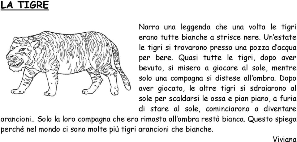 Quasi tutte le tigri, dopo aver bevuto, si misero a giocare al sole, mentre solo una compagna si distese all ombra.