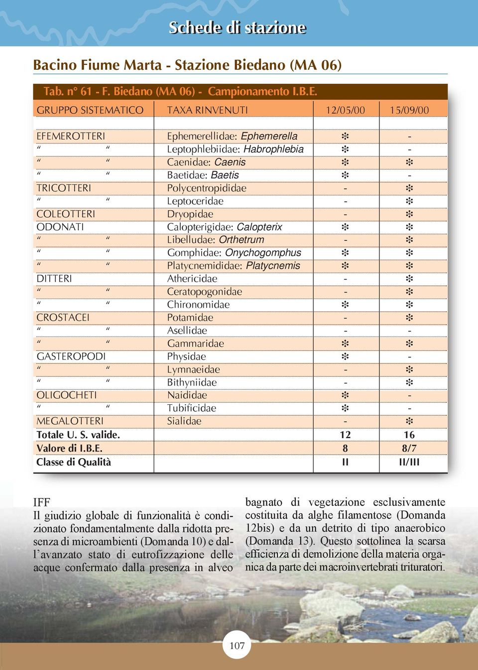 Leptoceridae - COLEOTTERI Dryopidae - ODONATI Calopterigidae: Calopteri Libelludae: Orthetrum - Gomphidae: Onychogomphus Platycnemididae: Platycnemis DITTERI Athericidae - Ceratopogonidae -