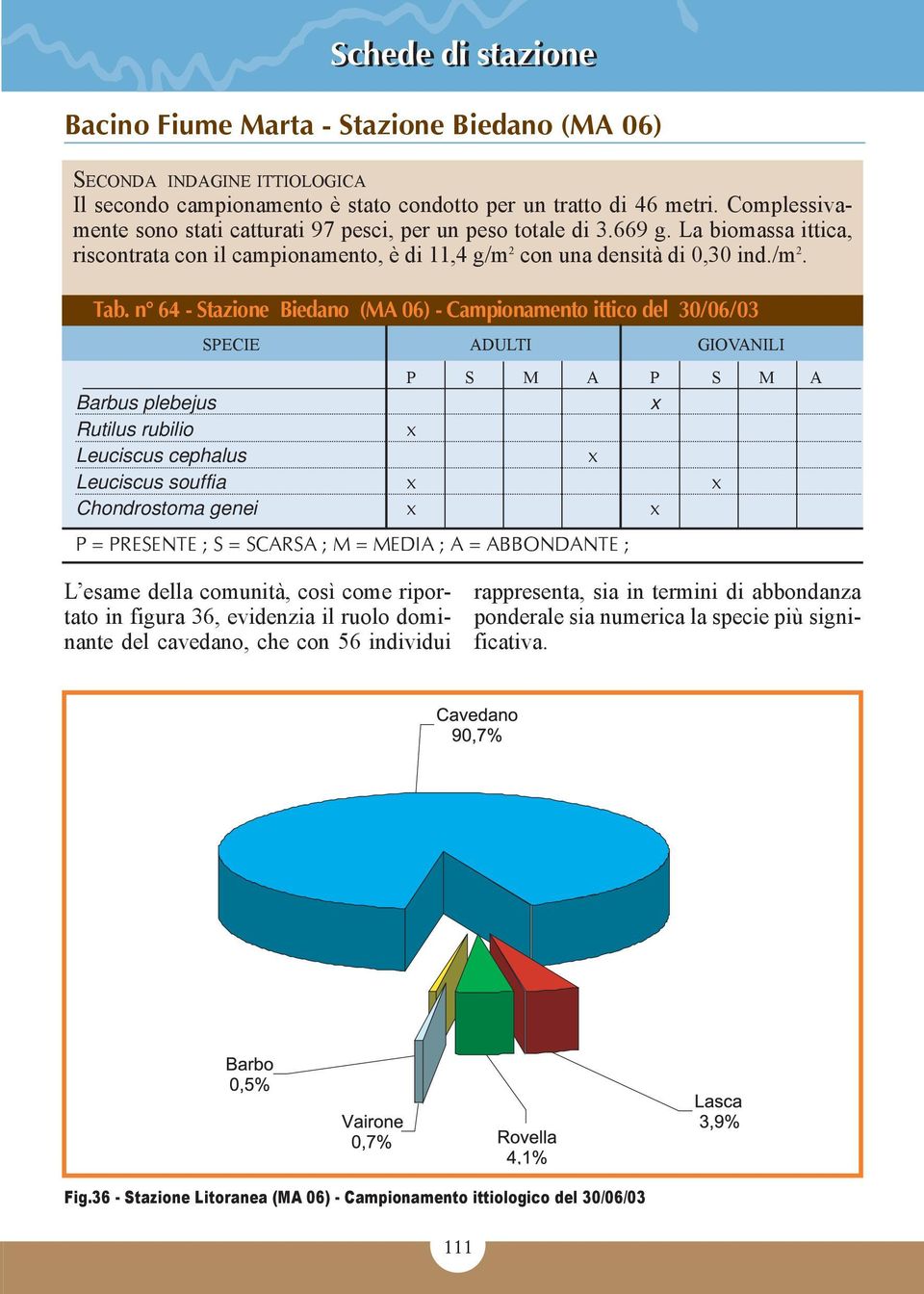 n 64 - Stazione Biedano (MA 06) - Campionamento ittico del 30/06/03 SPECIE ADULTI GIOVANILI P S M A P S M A Barbus plebejus Rutilus rubilio Leuciscus cephalus Leuciscus souffia Chondrostoma genei P =