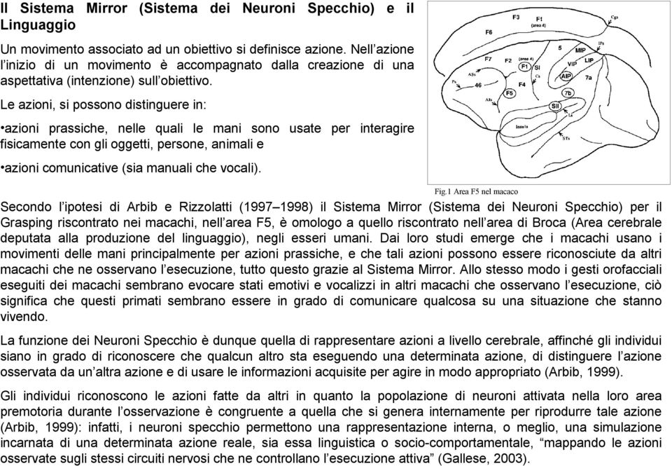 Le azioni, si possono distinguere in: azioni prassiche, nelle quali le mani sono usate per interagire fisicamente con gli oggetti, persone, animali e azioni comunicative (sia manuali che vocali). Fig.