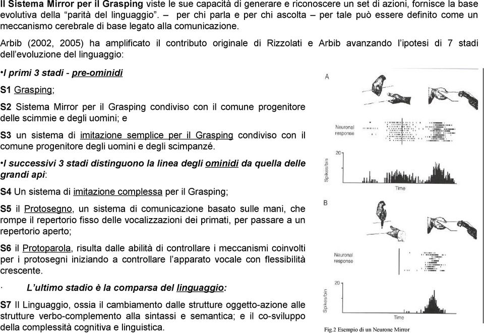 Arbib (2002, 2005) ha amplificato il contributo originale di Rizzolati e Arbib avanzando l ipotesi di 7 stadi dell evoluzione del linguaggio: I primi 3 stadi - pre-ominidi S1 Grasping; S2 Sistema