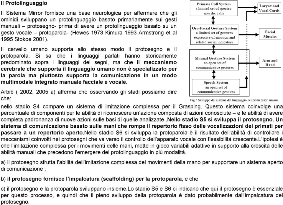 Si sa che i linguaggi parlati hanno storicamente predominato sopra i linguaggi dei segni, ma che il meccanismo cerebrale che supporta il linguaggio umano non è specializzato per la parola ma