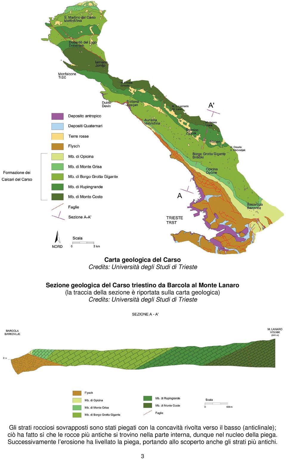 stati piegati con la concavità rivolta verso il basso (anticlinale); ciò ha fatto sì che le rocce più antiche si trovino nella parte