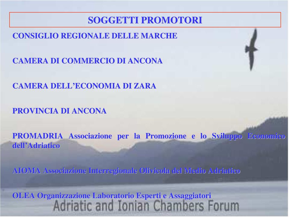 Promozione e lo Sviluppo Economico dell Adriatico AIOMA Associazione
