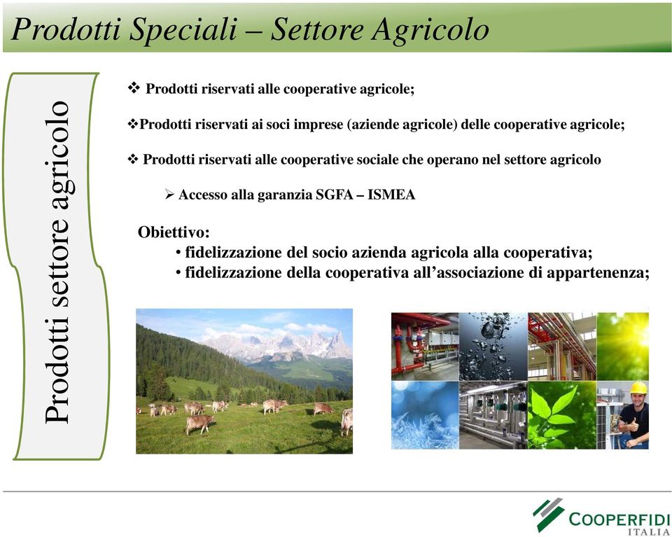 cooperative sociale che operano nel settore agricolo Accesso alla garanzia SGFA ISMEA Obiettivo: