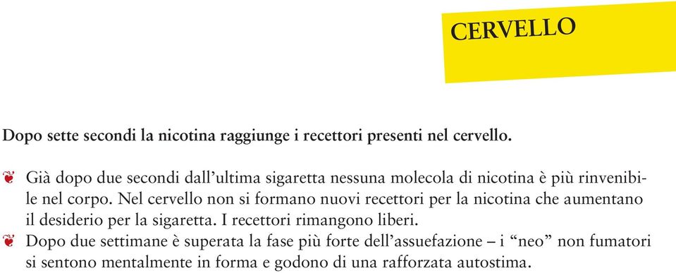 Nel cervello non si formano nuovi recettori per la nicotina che aumentano il desiderio per la sigaretta.