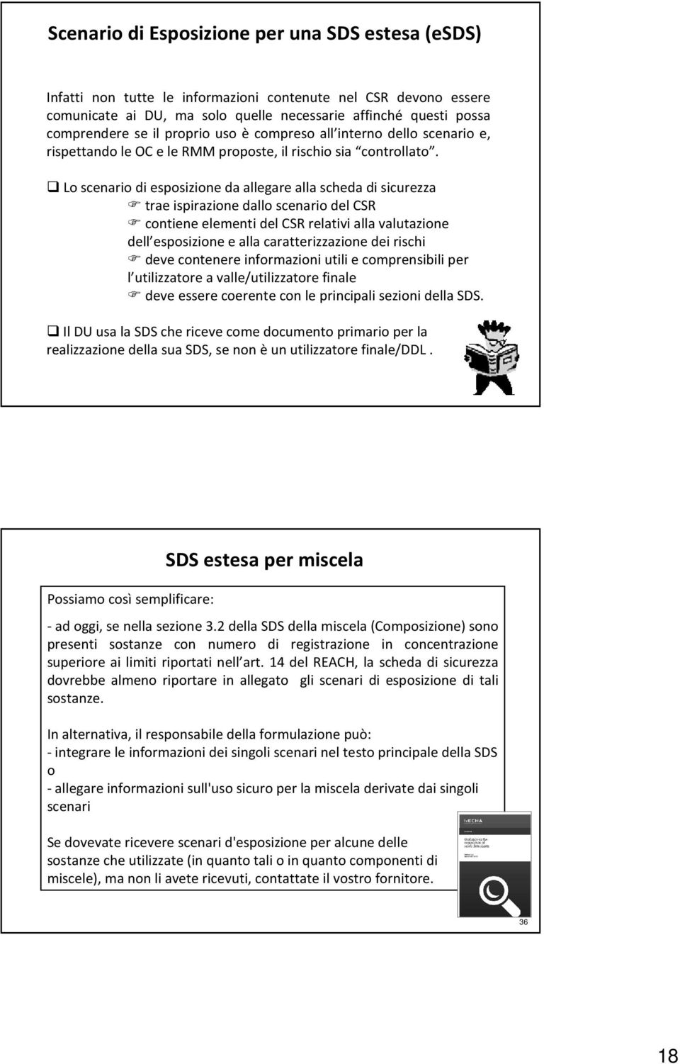 Lo scenario di esposizione da allegare alla scheda di sicurezza trae ispirazione dallo scenario del CSR contiene elementi del CSR relativi alla valutazione dell esposizione e alla caratterizzazione