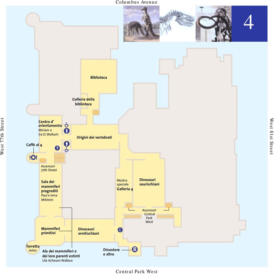 speciale Galleria 4 Dinosauri saurischiani Mammiferi primitivi Dinosauri ornitischiani Central