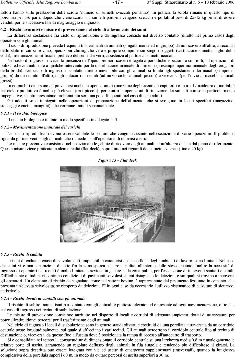 I suinetti partoriti vengono svezzati e portati al peso di 25-45 kg prima di essere venduti per le successive fasi di magronaggio e ingrasso. 6.