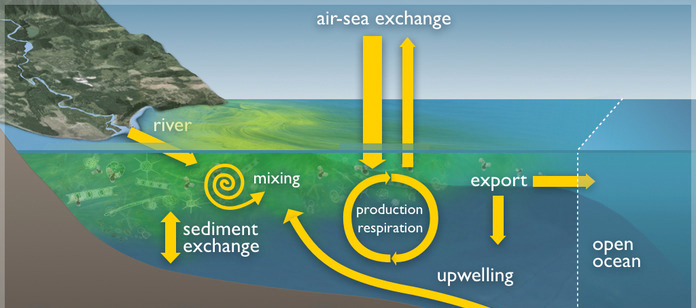 L impaoo dell OA potrebbe essere molto rilevante sopraouoo sugli ecosistemi marini cosmeri, dove gli organismi si concentrano e i processi biogeochimici sono più a_vi.