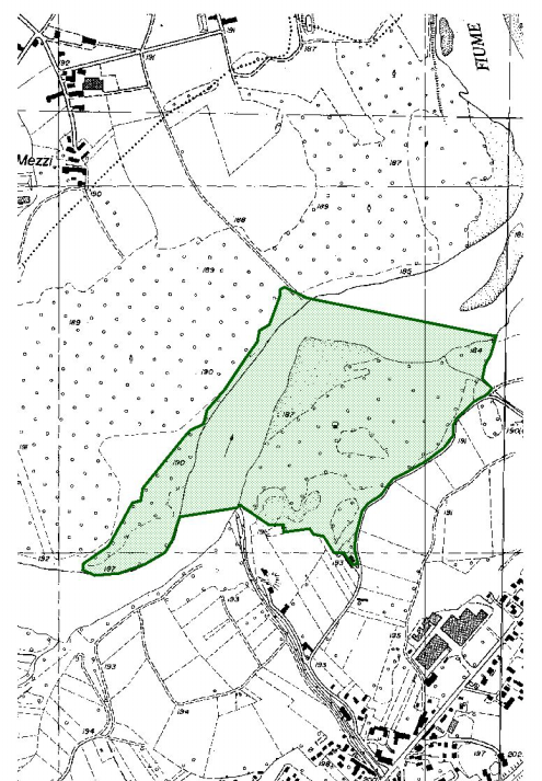 N. 47 Oasi Gassino - Bosco dei