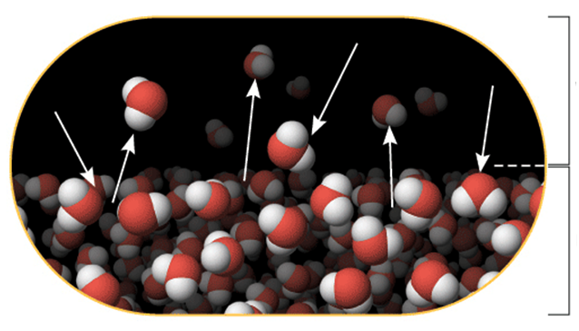 In un liquido ci sono poche molecole con energia cinetica maggiore dell energia delle forze attrattive intermolecolari che legano le molecol.