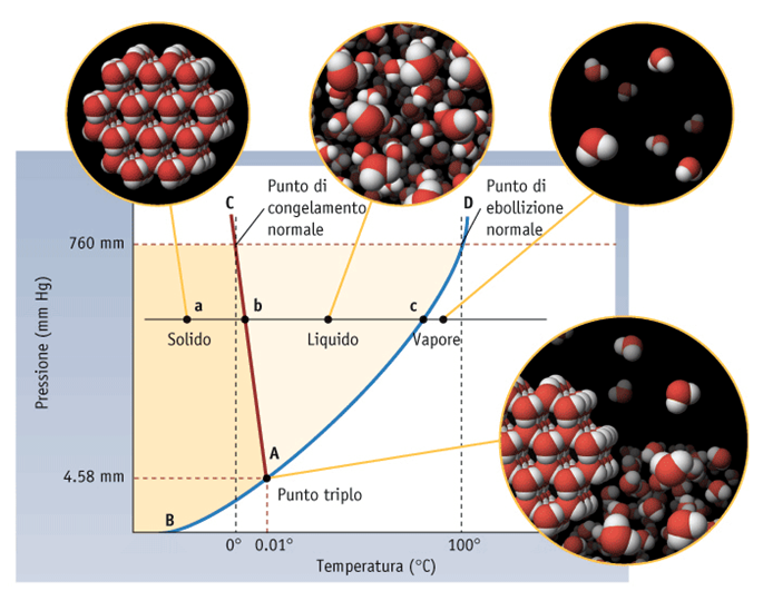 Diagramma di stato (fase) Una sostanza può trovarsi allo stato solido, liquido o gassoso, a seconda delle condizioni di