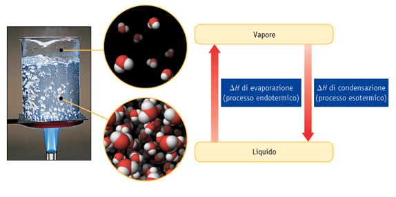 Nelle molecole polari le interazioni dipolo-dipolo influenzano l evaporazione di un liquido e la condensazione di un gas.