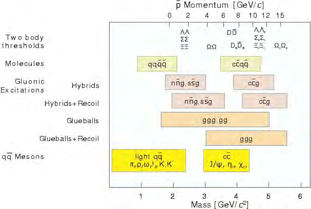 La fisica di PANDA La fisica di PANDA copre diversi aspetti di fisica nucleare e delle particelle