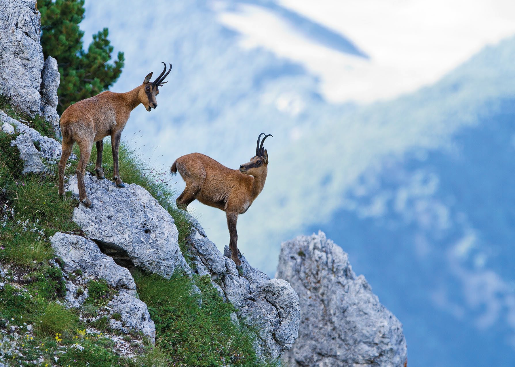 Foto scattata durante il