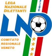 DELEGAZIONE PROVINCIALE DI VENEZIA VIA DELLA PILA 1 30175 MARGHERA (VE) SEGRETERIA: 041 25.24.153 FAX: 041 25.24.150 Indirizzo Internet: www.figcvenetocalcio.it e-mail: venezia@figc.