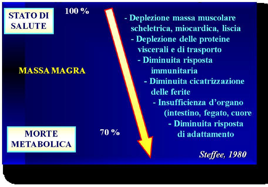 Anziano e malnutrizione - conseguenze Incremento di morbilità e mortalità. Incremento delle complicanze. Alterazione della farmacocinetica di alcuni medicinali. Riduzione della risposta immunitaria.