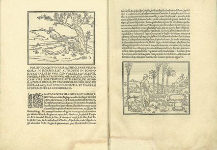 Percorso Libro La storia del libro A partire dalla fine del XV secolo il libro fu concepito e stampato come oggetto di svago e di diffusione della conoscenza.