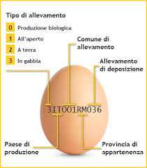 10 aprile 1991 n. 137 Norme per l esercizio delle funzioni di controllo sulla commercializzazione delle uova.