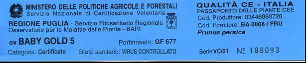 CATEGORIA CERTIFICATO NORMATIVA NAZIONALE VOLONTARIA Dal sistema di certificazione scaturisce il materiale di propagazione certificato delle diverse categorie VT VIRUS-CONTROLLATO Esente da