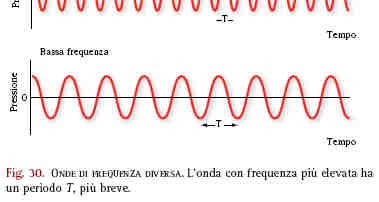 Fisica Ultrasuoni Di un onda sonora possiamo quindi definire: la frequenza (Herz - numero della lunghezza d onda: cicli secondo) la lunghezza (distanza in metri tra due picchi di compressione o