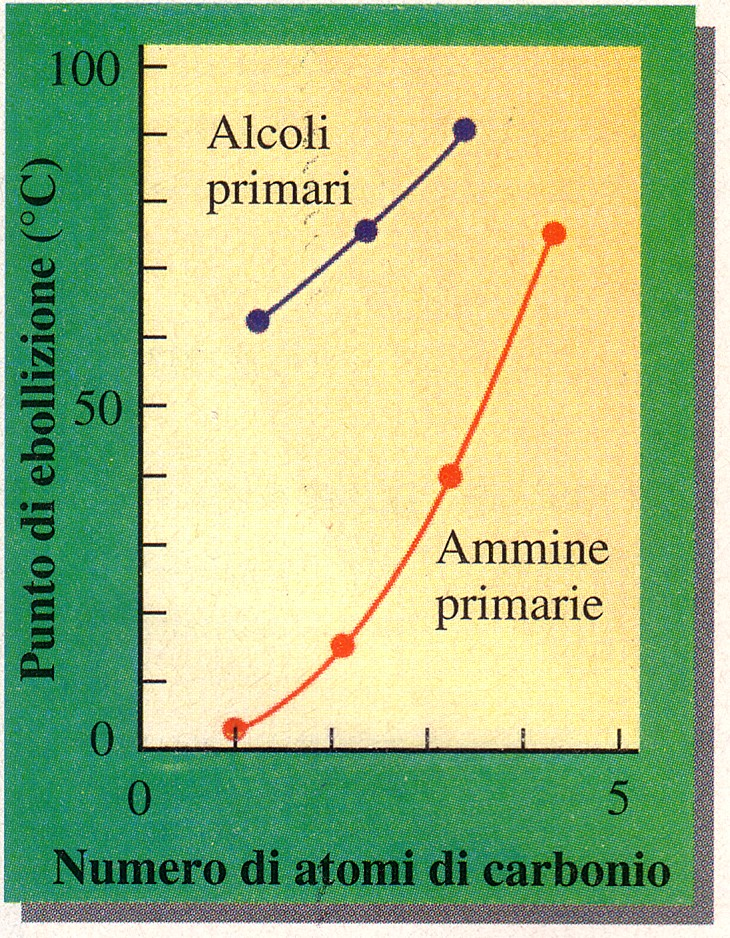 L azoto è più elettronegativo del carbonio quindi c è una certa polarità nel legame -N anche se minore di quella presente nel legame -.