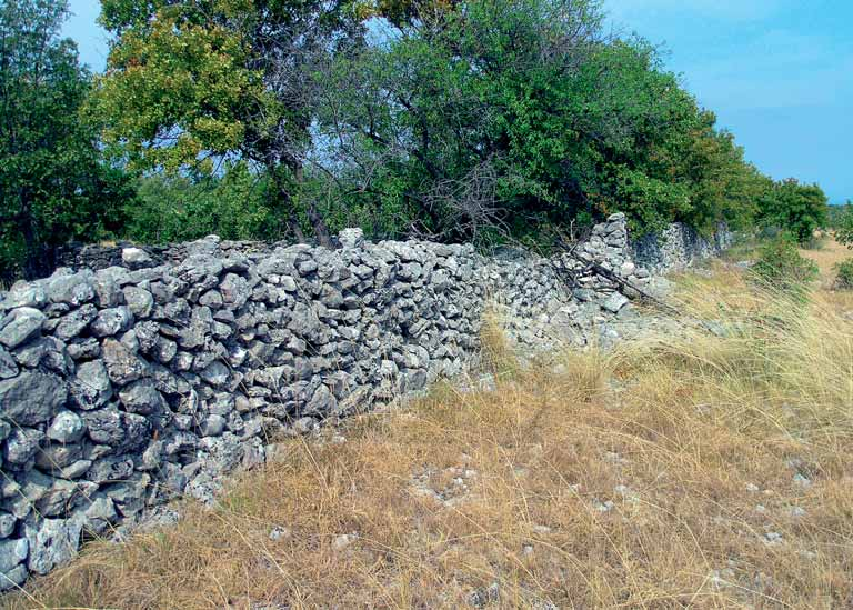 Rimska vojska u Burnumu L esercito romano a Burnum Sl. 18. Pretpostavljeni istočni kastel, suhozid na mjestu sjevernog bedema.