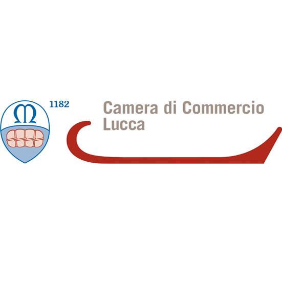 Camera di Commercio Industria Artigianato e Agricoltura di LUCCA Registro Imprese - VISURA DI EVASIONE DATI ANAGRAFICI Indirizzo Sede legale LUCCA (LU) VIA DEI BICHI 340 CAP 55100 FRAZIONE: S.