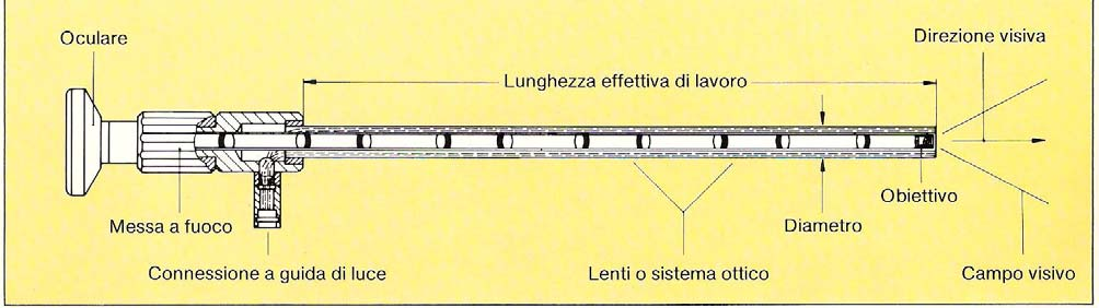 Principio di funzionamento Endoscopio standard L endoscopio risulta fondamentalmente costituito da una guaina esterna rigida (il tubo), di lunghezza variabile, alla cui estremità anteriore incorpora