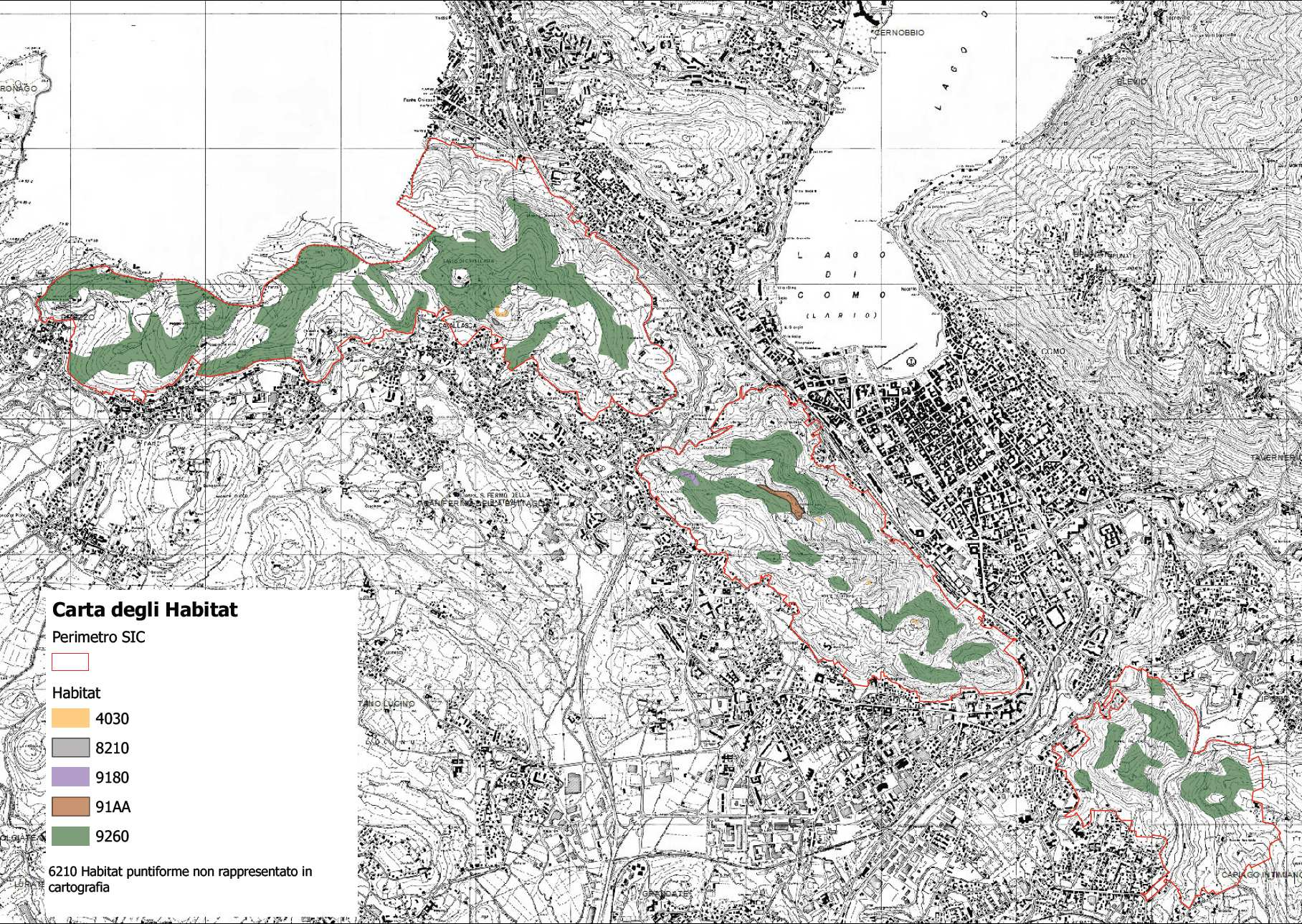 Studio di fattibilità per azioni strategiche di connessione ecologica sull asse ovest-est in Provincia di Como Nei versanti basso collinari, o in corrispondenza dei corsi d acqua si rilevano alneti