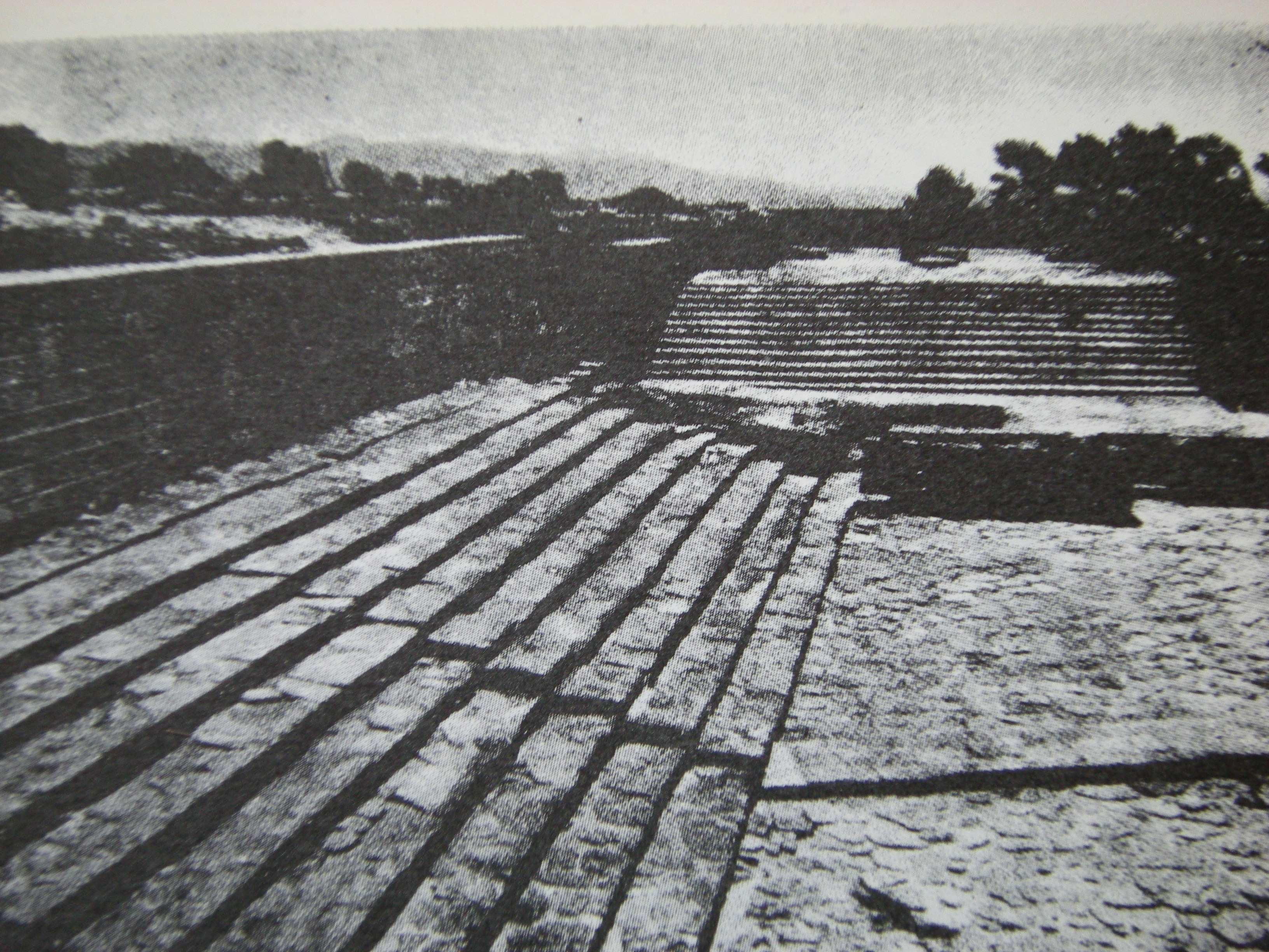 Teatri all aperto nell antichità: l esperienza dei greci e romani Spettacoli del teatro greco: Tragedia: cori ditirambici in onore di Dioniso;.