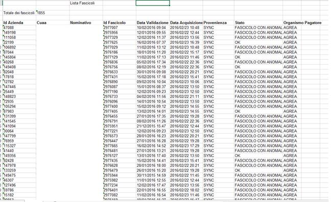 Le informazioni riportate nella Lista fascicoli in formato Excel sono: Numero Totale dei fascicoli selezionati e scaricati CUAA Nominativo ID Azienda ID Fascicolo Data Validazione: La data della