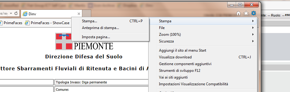 5. STAMPA DELLE SCHEDE Per ogni oggetto gestito dal sistema informativo è stata prevista una funzionalità di stampa, che permette di generare una pagina di stampa in una nuova finestra del browser,