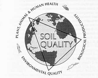 La qualità del suolo esprime: la capacità continuativa del suolo di funzionare come un sistema vitale e di interagire con l intero ecosistema per sostenere la produttività biologica, mantenere la